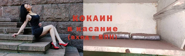 мяу мяу мука Инсар