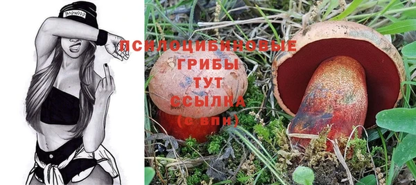 мяу мяу мука Инсар