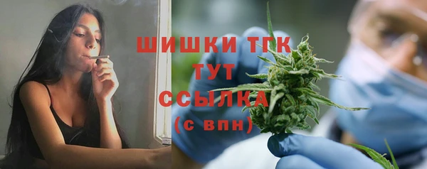 мяу мяу мука Инсар