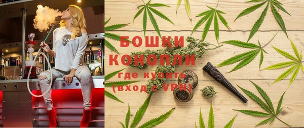 PSILOCYBIN Инта