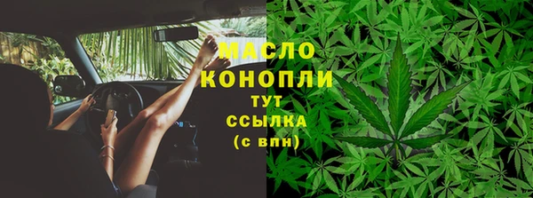 мяу мяу мука Инсар