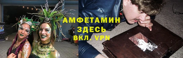 мяу мяу мука Инсар