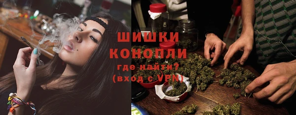 мяу мяу мука Инсар