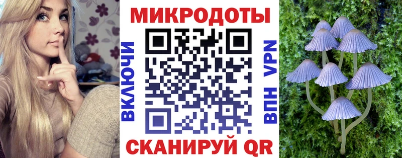 Псилоцибиновые грибы Psilocybe сайты даркнета Telegram Златоуст